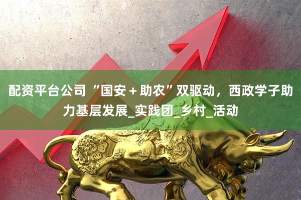 配资平台公司 “国安＋助农”双驱动，西政学子助力基层发展_实践团_乡村_活动