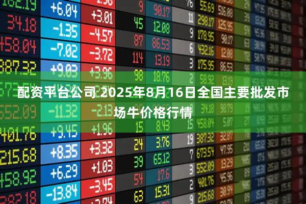 配资平台公司 2025年8月16日全国主要批发市场牛价格行情